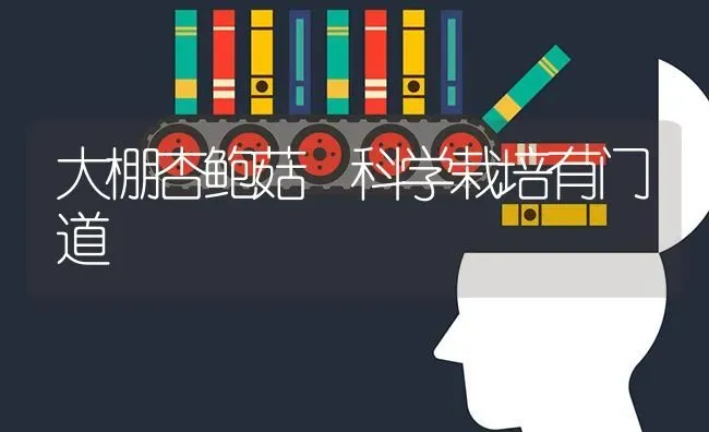 大棚杏鲍菇 科学栽培有门道 | 食用菌种植