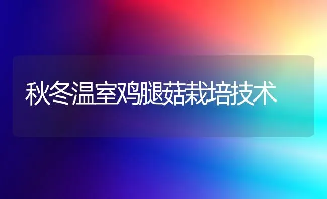 秋冬温室鸡腿菇栽培技术 | 食用菌种植