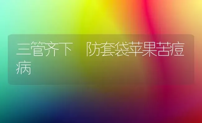 三管齐下 防套袋苹果苦痘病 | 瓜果种植