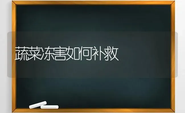 蔬菜冻害如何补救 | 蔬菜种植