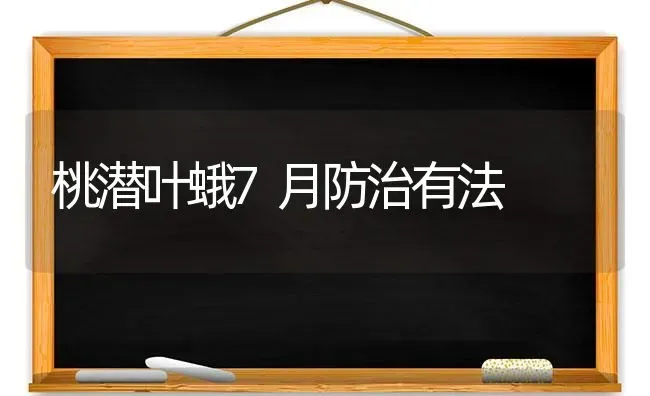 见效快的肥料不一定就好 | 种植肥料施肥