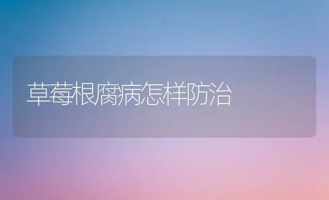 草莓根腐病怎样防治 | 瓜果种植
