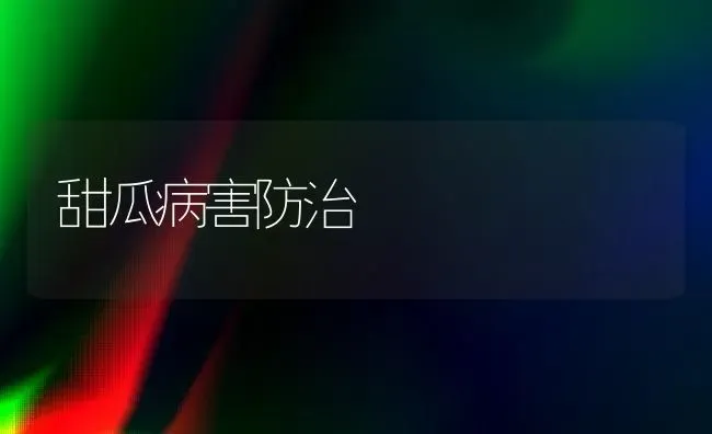 甜瓜病害防治 | 瓜果种植