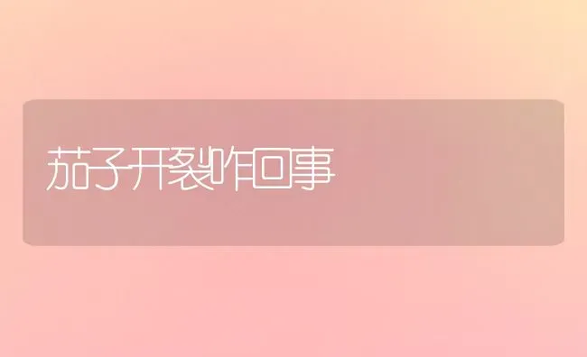 茄子开裂咋回事 | 蔬菜种植