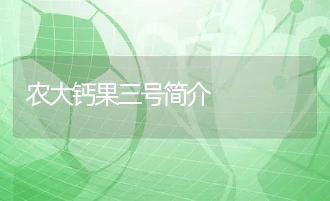 农大钙果三号简介 | 瓜果种植