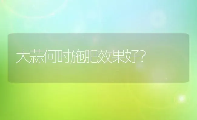 大蒜何时施肥效果好？ | 瓜果种植
