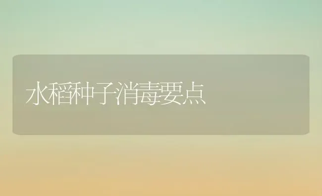 水稻种子消毒要点 | 粮油作物种植