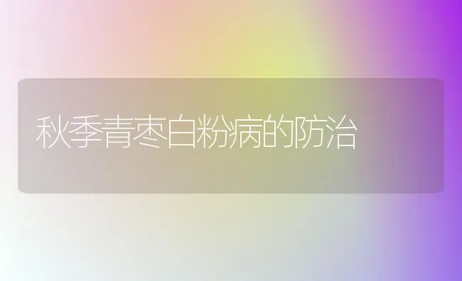 秋季青枣白粉病的防治 | 瓜果种植