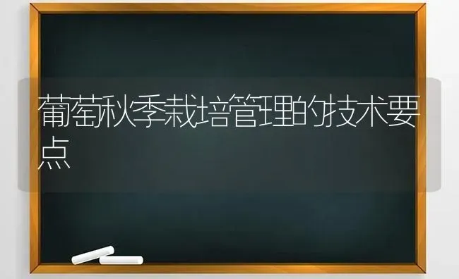 葡萄秋季栽培管理的技术要点 | 瓜果种植
