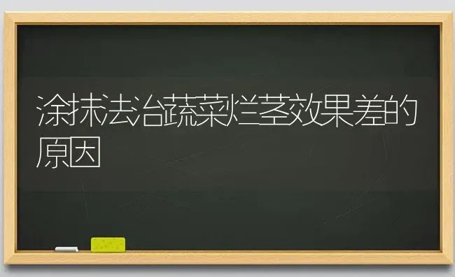 涂抹法治蔬菜烂茎效果差的原因 | 蔬菜种植