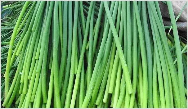 蒜薹的采收时间及采收要点 | 种植资料
