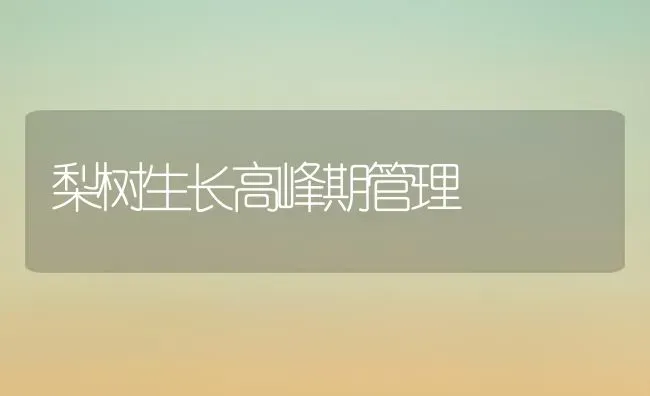 梨树生长高峰期管理 | 瓜果种植