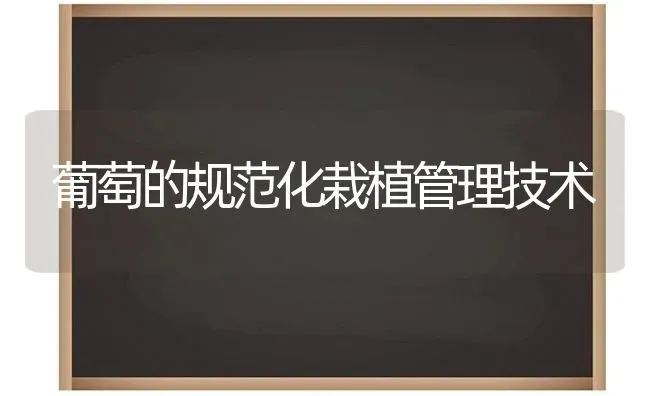 葡萄的规范化栽植管理技术 | 瓜果种植