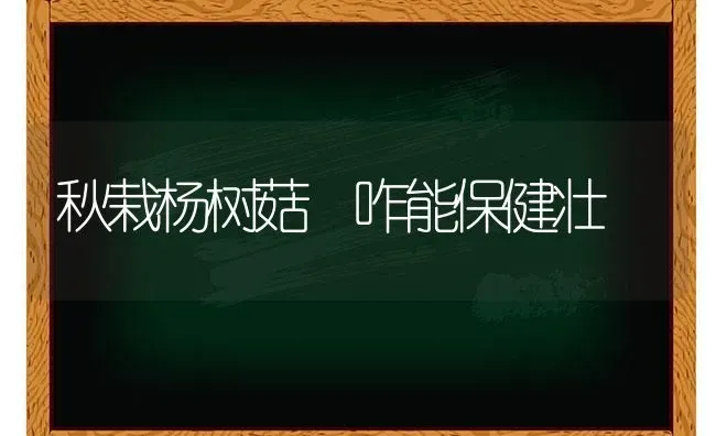 秋栽杨树菇 咋能保健壮 | 食用菌种植