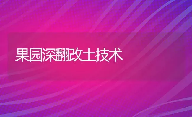 果园深翻改土技术 | 瓜果种植