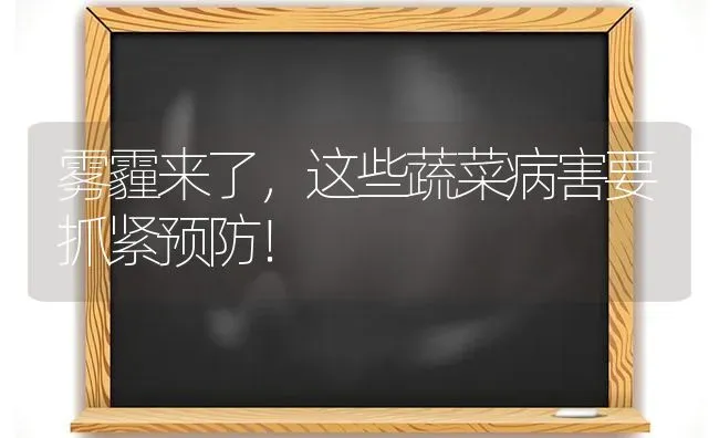 雾霾来了，这些蔬菜病害要抓紧预防！ | 蔬菜种植