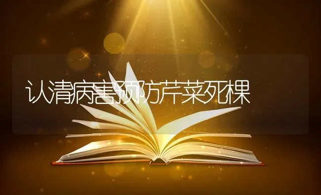 认清病害预防芹菜死棵 | 蔬菜种植