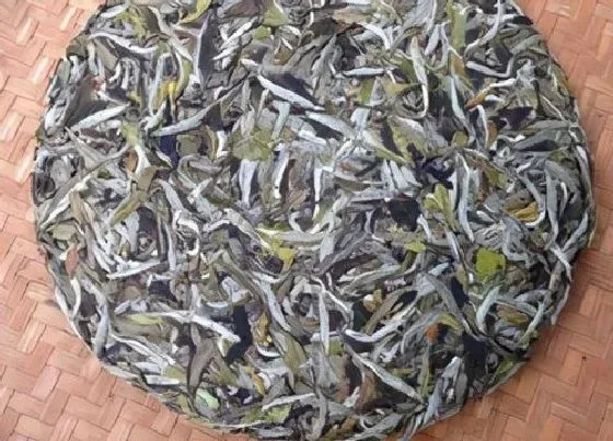 叶子|茶饼保质期一般多久时间（普洱、福鼎老白茶能保存多久）
