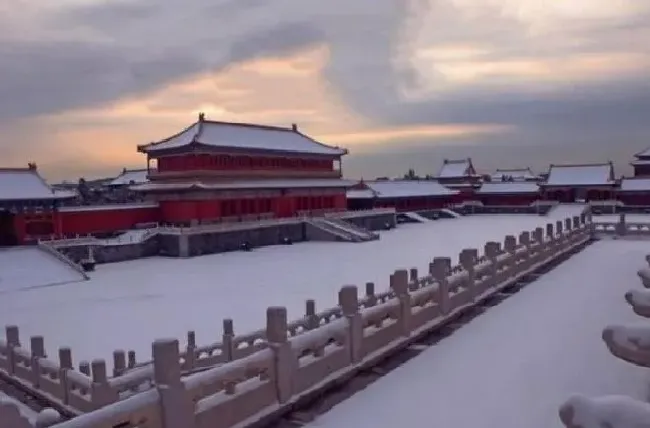 冬天植物|全国多地迎来降雪天气 内蒙古强降雪致积雪堵住半边门