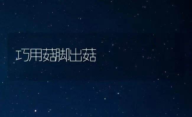 巧用菇脚出菇 | 食用菌种植