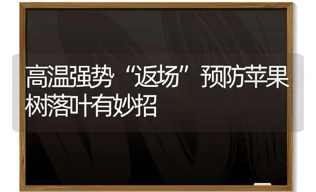 高温强势“返场”预防苹果树落叶有妙招 | 瓜果种植