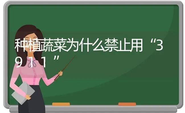 种植蔬菜为什么禁止用“3911” | 蔬菜种植