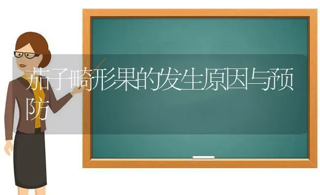 茄子畸形果的发生原因与预防 | 瓜果种植