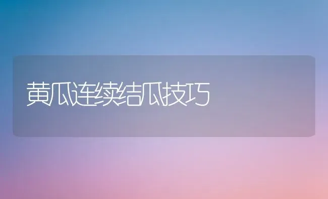 黄瓜连续结瓜技巧 | 蔬菜种植