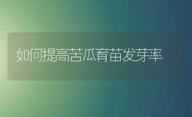 如何提高苦瓜育苗发芽率 | 蔬菜种植