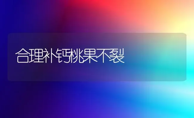 合理补钙桃果不裂 | 瓜果种植