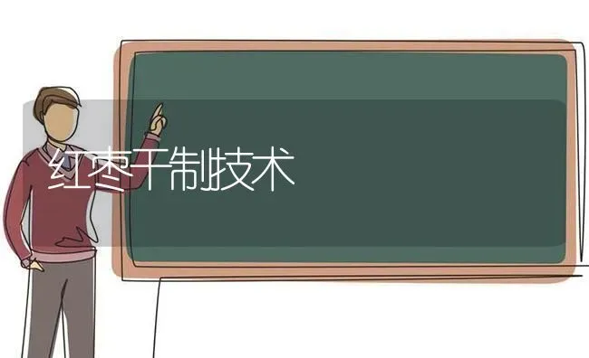 红枣干制技术 | 瓜果种植