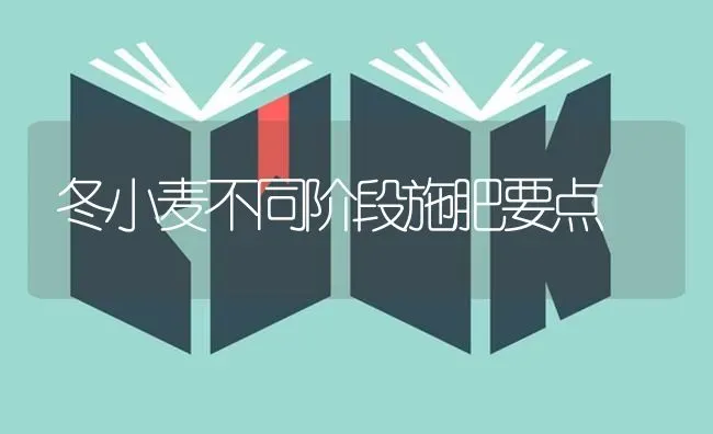 冬小麦不同阶段施肥要点 | 粮油作物种植