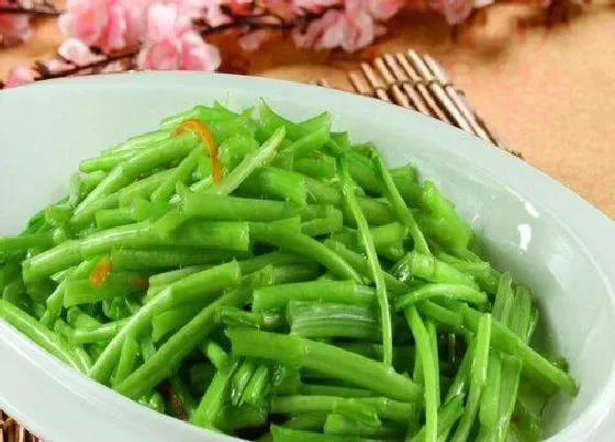 植物百科|泥蒿是什么季节的菜