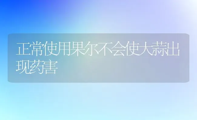 正常使用果尔不会使大蒜出现药害 | 瓜果种植