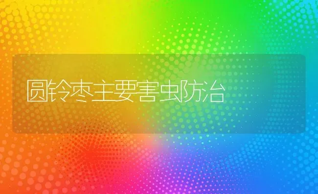 圆铃枣主要害虫防治 | 瓜果种植