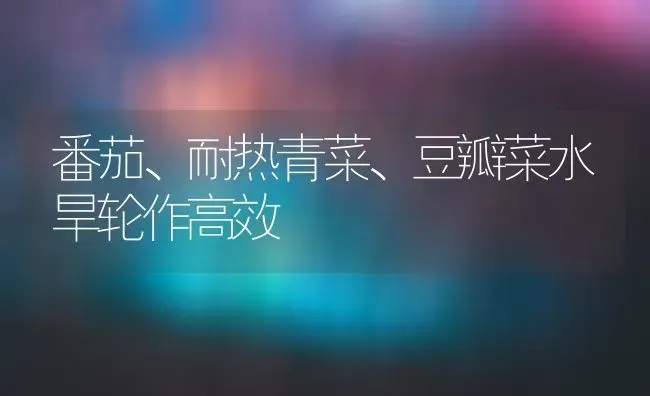 番茄、耐热青菜、豆瓣菜水旱轮作高效 | 蔬菜种植