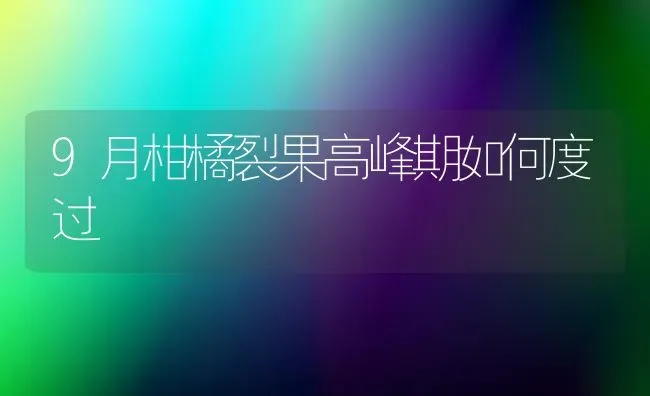 9月柑橘裂果高峰期如何度过 | 瓜果种植