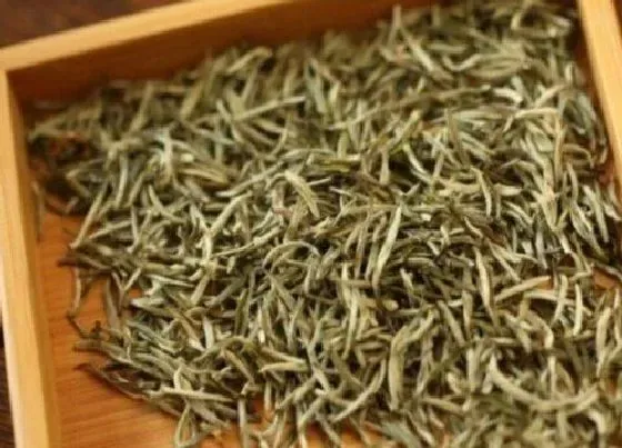 食用常识|兰妃茶属于什么茶类 兰妃甘露茶特点和功效作用