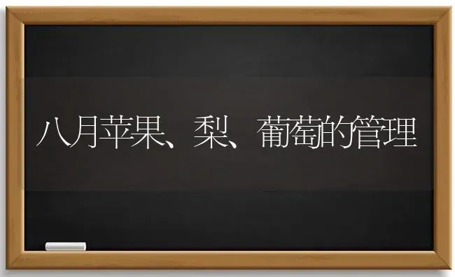 八月苹果、梨、葡萄的管理 | 瓜果种植