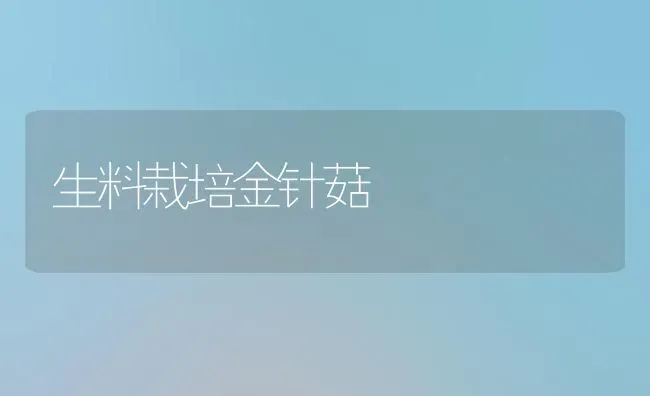 生料栽培金针菇 | 食用菌种植