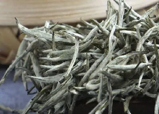 食用常识|兰妃茶属于什么茶类 兰妃甘露茶特点和功效作用