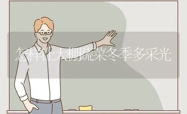 怎样让大棚蔬菜冬季多采光 | 蔬菜种植