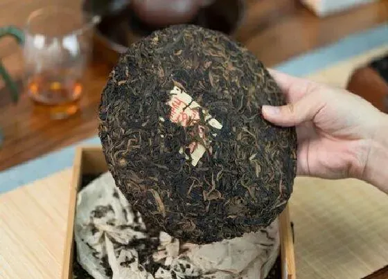 叶子|茶饼保质期一般多久时间（普洱、福鼎老白茶能保存多久）