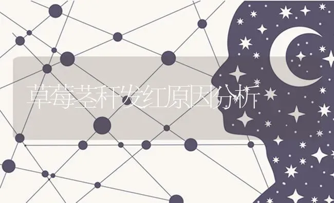 草莓茎秆发红原因分析 | 瓜果种植