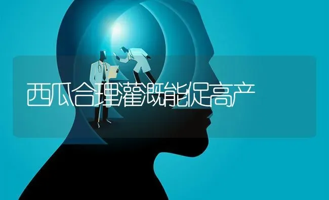 西瓜合理灌溉能促高产 | 瓜果种植