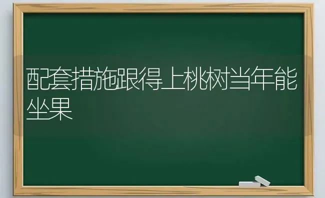 配套措施跟得上桃树当年能坐果 | 瓜果种植