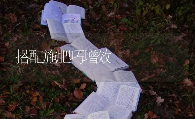 搭配施肥巧增效 | 种植肥料施肥