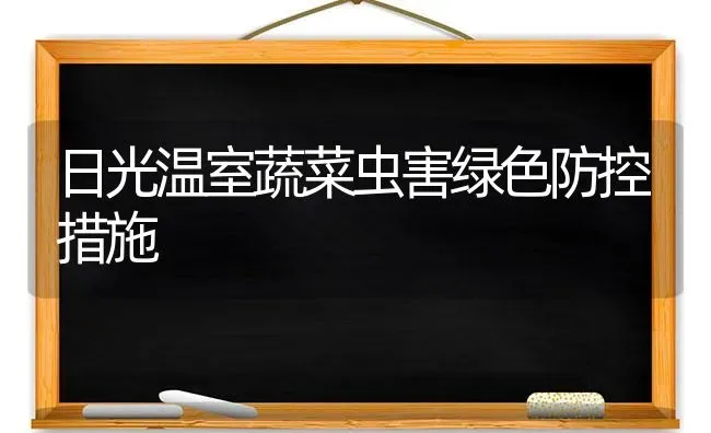 日光温室蔬菜虫害绿色防控措施 | 蔬菜种植