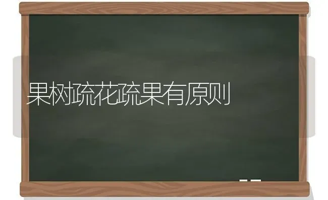 果树疏花疏果有原则 | 瓜果种植