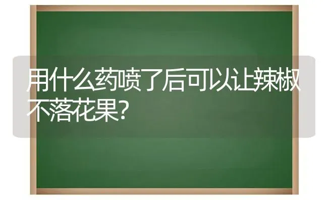 用什么药喷了后可以让辣椒不落花果？ | 瓜果种植